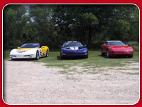 Repkas' Photos Corvettes